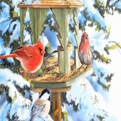Знаете ли зимующих птиц Якутии?